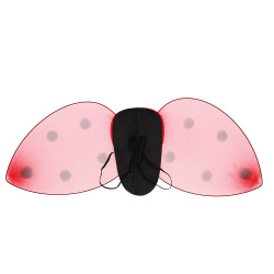 Sada krídel a tykadiel lienky